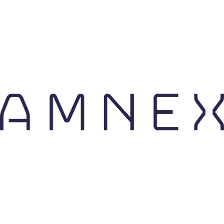 Amnex Infotechnologies Ltd